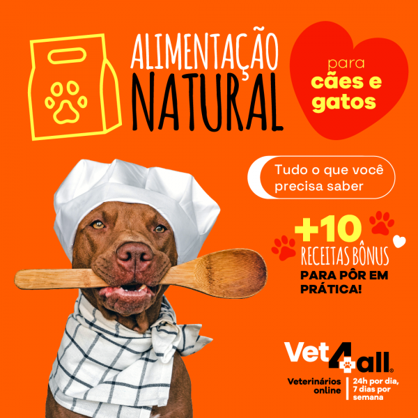 estudo-vet4all—caa-para-blog—24-01-2023 estudo-vet4all---caa-para-blog---24-01-2023