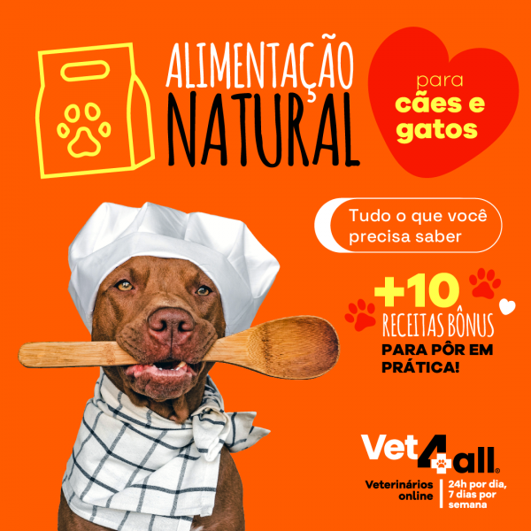 estudo-vet4all---caa-para-blog---24-01-2023